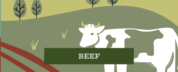 Beef Dog Food